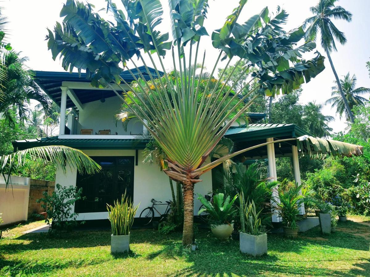 All View Resort تانجالي المظهر الخارجي الصورة