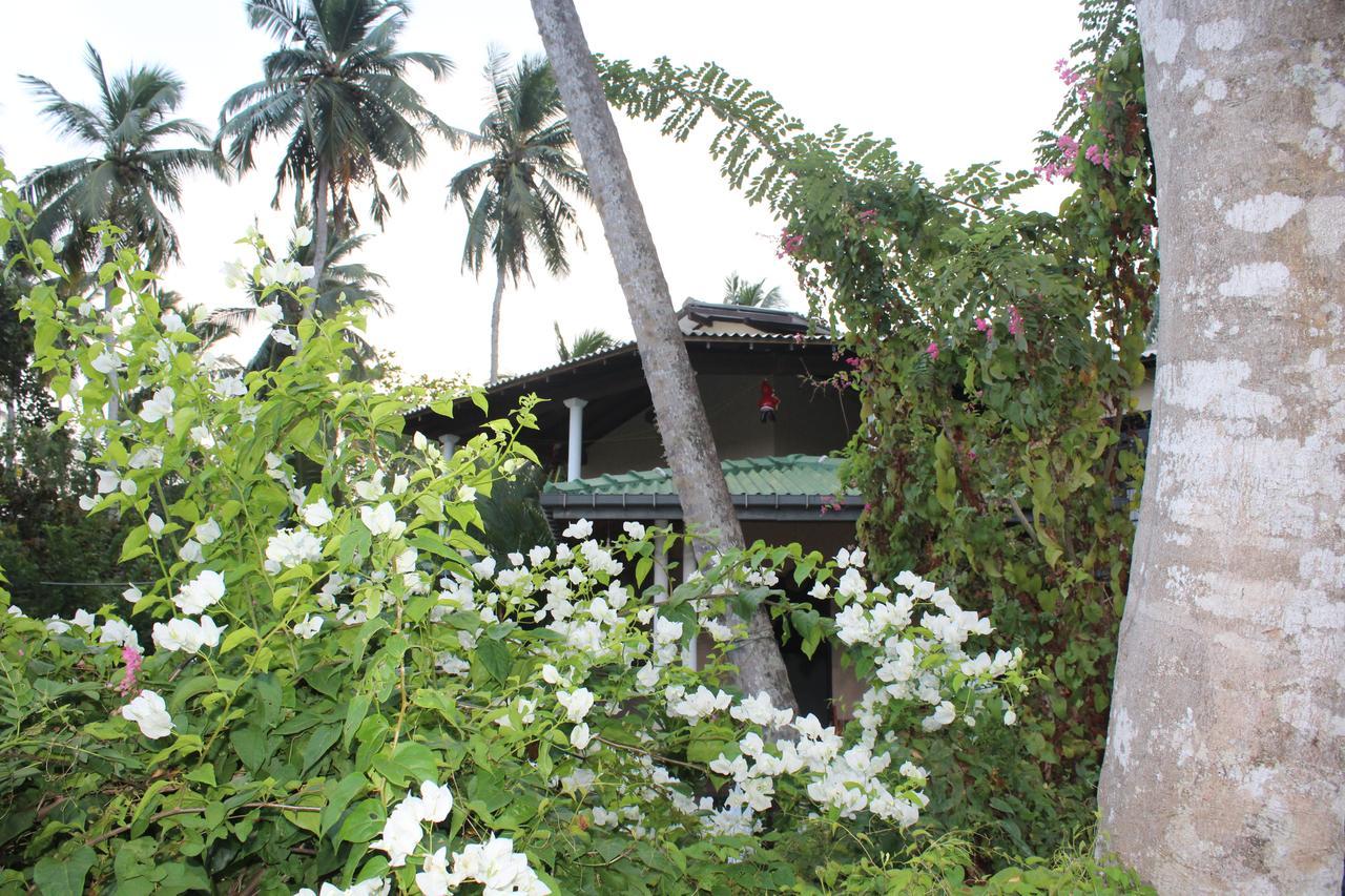 All View Resort تانجالي المظهر الخارجي الصورة